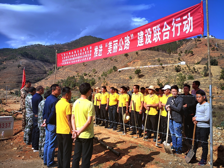 云县多部门党组织联合在晓街县乡公路栽下凤凰木